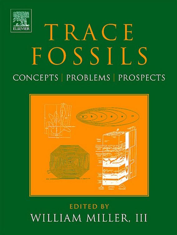 Produktbild: Trace Fossils