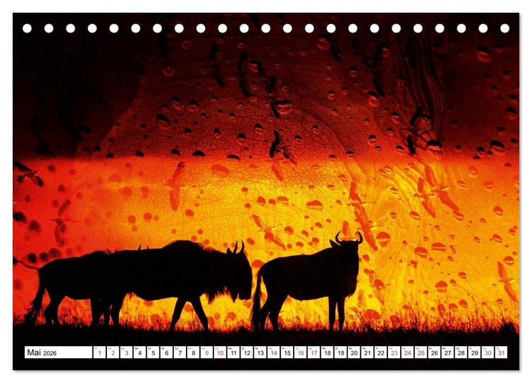 Produktbild: Emotionale Momente: African Dreams (Tischkalender 2026 DIN A5 quer), CALVENDO Monatskalender