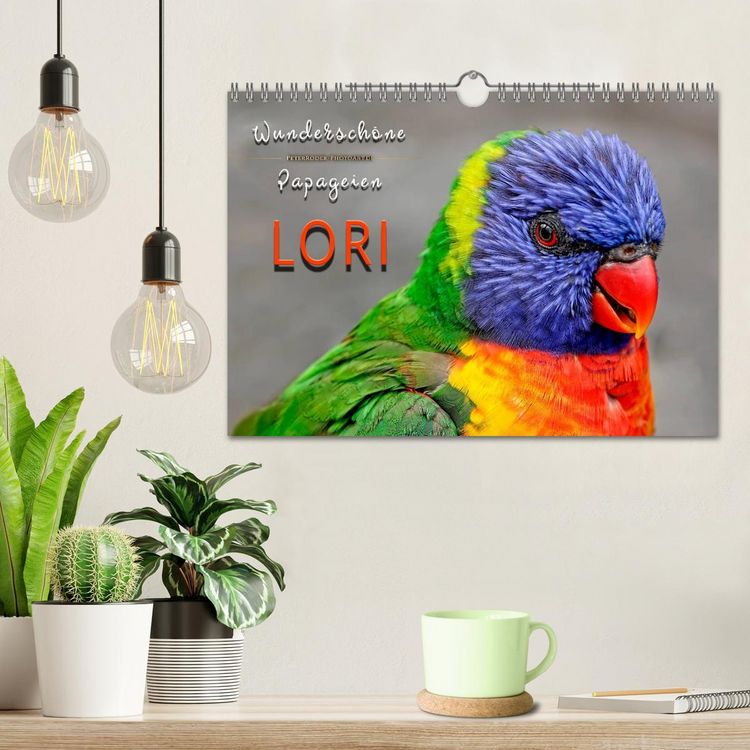 Produktbild: Wundersch&ouml;ne Papageien - Lori (Wandkalender 2026 DIN A4 quer), CALVENDO Monatskalender
