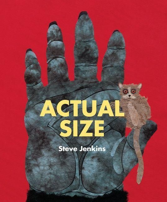 Produktbild: Actual Size