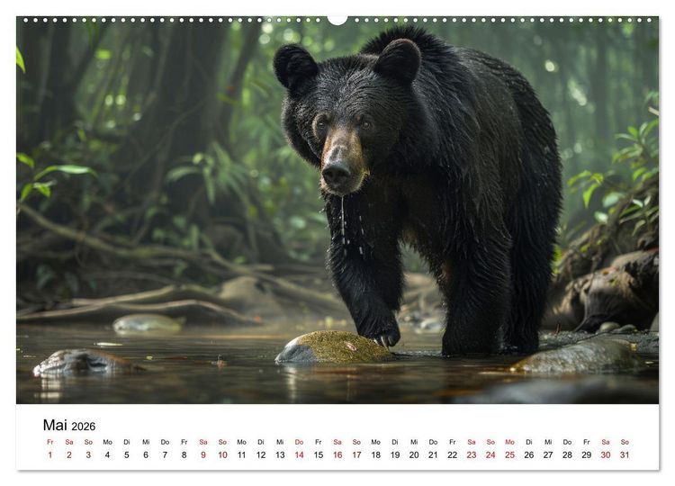 Produktbild: Magische Tierwelt Asiens (hochwertiger Premium Wandkalender 2026 DIN A2 quer), Kunstdruck in Hochglanz