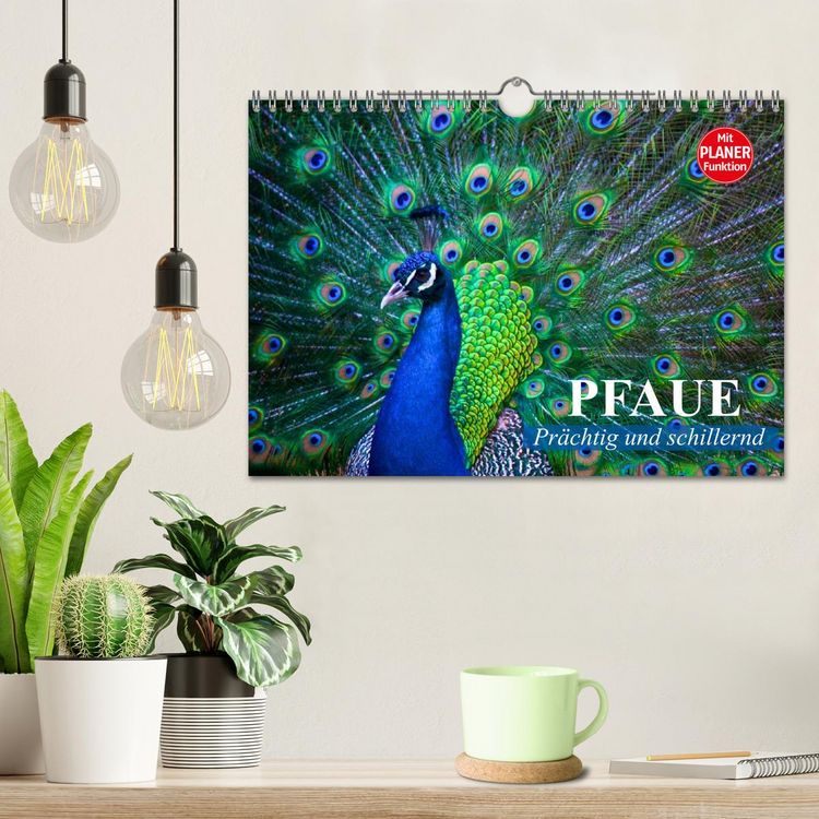 Produktbild: Pfaue. Pr&auml;chtig und schillernd (Wandkalender 2026 DIN A4 quer), CALVENDO Monatskalender