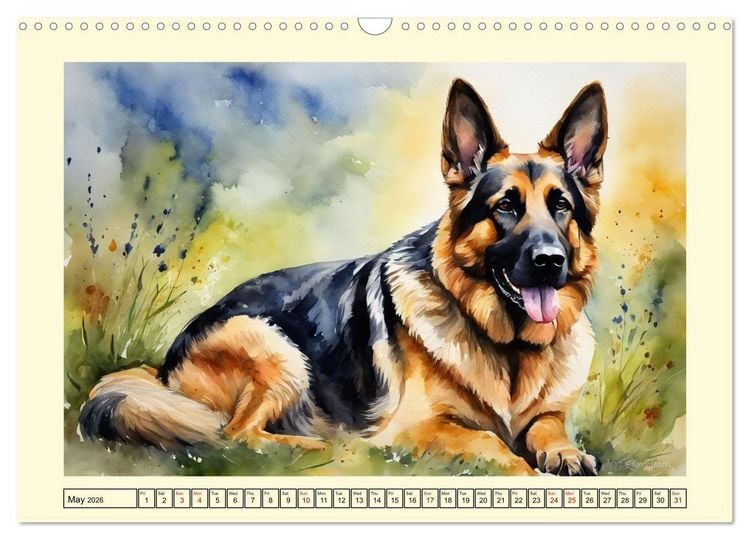 Produktbild: German Shepherds - classics around the globe (Wall Calendar 2026 DIN A3 landscape), CALVENDO 12 Month Wall Calendar