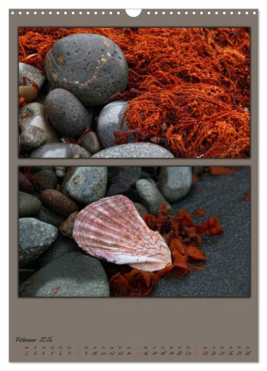Produktbild: Farbtupferl der Natur (Wandkalender 2026 DIN A3 hoch), CALVENDO Monatskalender