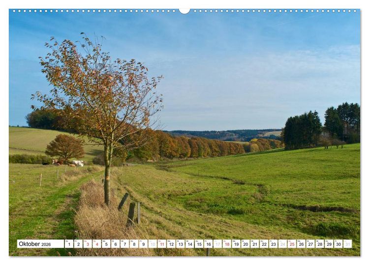 Produktbild: Traumhafte Wege durch die Eifel (hochwertiger Premium Wandkalender 2026 DIN A2 quer), Kunstdruck in Hochglanz