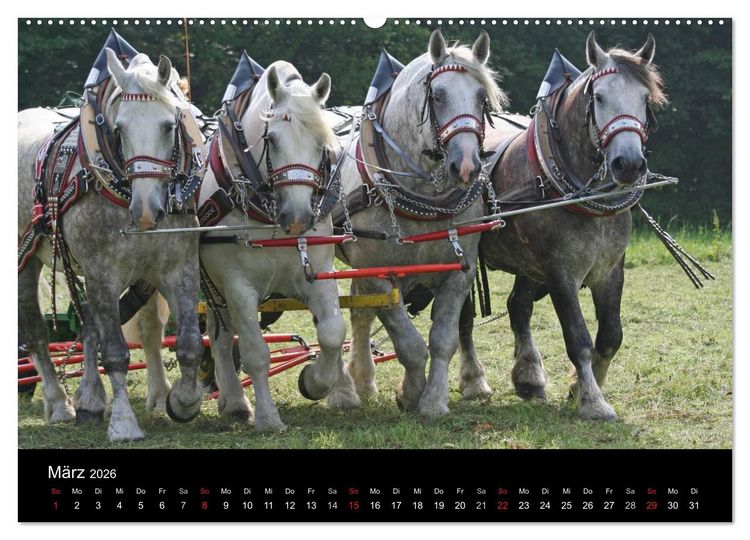 Produktbild: Starke Pferde bei der Arbeit (Wandkalender 2026 DIN A2 quer), CALVENDO Monatskalender