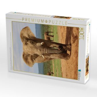 Produktbild: CALVENDO Puzzle Ein Motiv aus dem Kalender S&Uuml;DAFRIKA Wild-Tiere im Addo Elephant Park | 1000 Teile Lege-Gr&ouml;&szlig;e 64x48cm Foto-Puzzle f&uuml;r gl&uuml;ckliche Stund