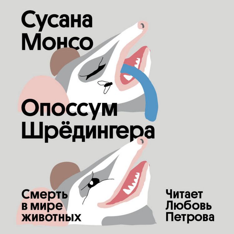 Produktbild: Opossum Shredingera
