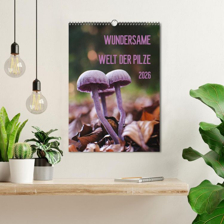 Produktbild: Wundersame Welt der Pilze (Wandkalender 2026 DIN A3 hoch), CALVENDO Monatskalender