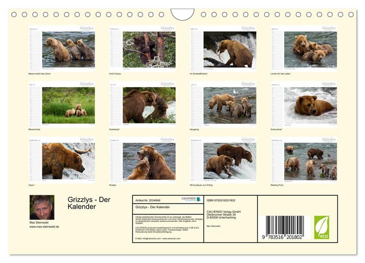 Produktbild: Grizzlys - Der Kalender (Wandkalender 2026 DIN A4 quer), CALVENDO Monatskalender