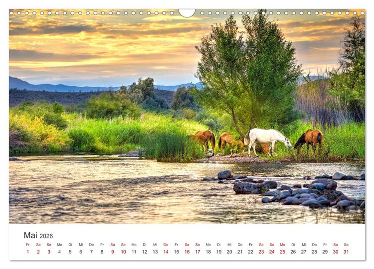 Produktbild: Freiheitsliebende Wildpferde (Wandkalender 2026 DIN A3 quer), CALVENDO Monatskalender