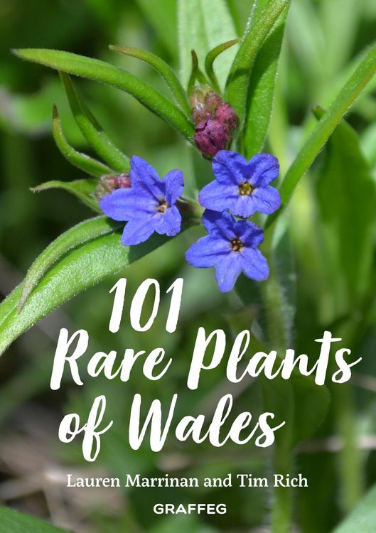 Produktbild: 101 Rare Plants of Wales