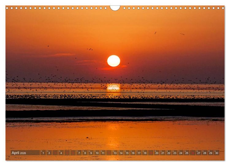 Produktbild: Farbspiele im Licht der Sonne (Wandkalender 2026 DIN A3 quer), CALVENDO Monatskalender
