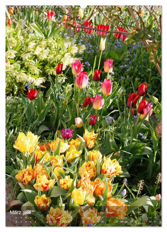 Produktbild: Ferien im Garten (Wandkalender 2026 DIN A2 hoch), CALVENDO Monatskalender