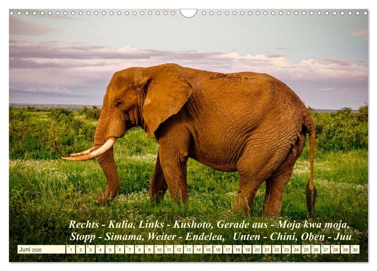Produktbild: Jambo Kenya (Wandkalender 2026 DIN A3 quer), CALVENDO Monatskalender