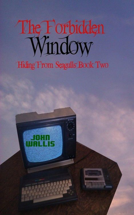 Produktbild: The Forbidden Window (Hiding from Seagulls Book 2)