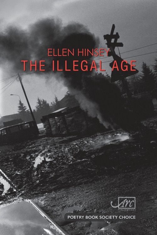 Produktbild: The Illegal Age