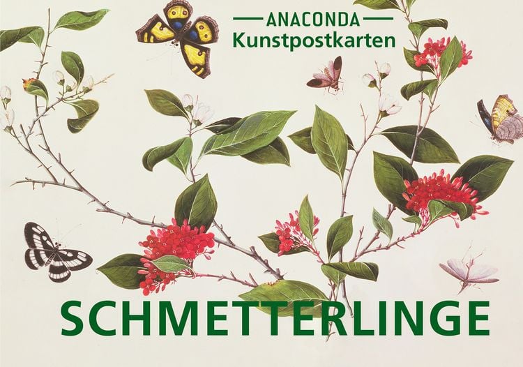 Produktbild: Postkarten-Set Schmetterlinge