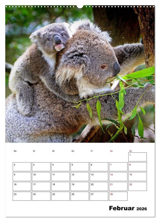 Produktbild: Australiens faszinierende Tierwelt (Wandkalender 2026 DIN A2 hoch), CALVENDO Monatskalender