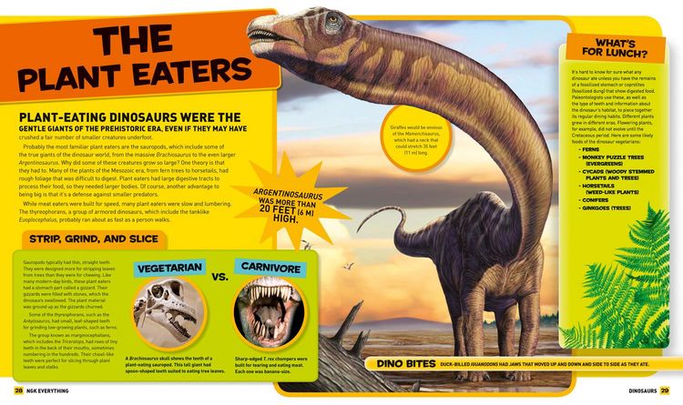 Produktbild: Everything Dinosaurs