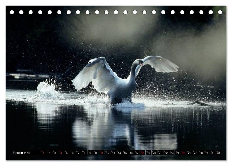 Produktbild: SCHW&Auml;NE. (Tischkalender 2026 DIN A5 quer), CALVENDO Monatskalender