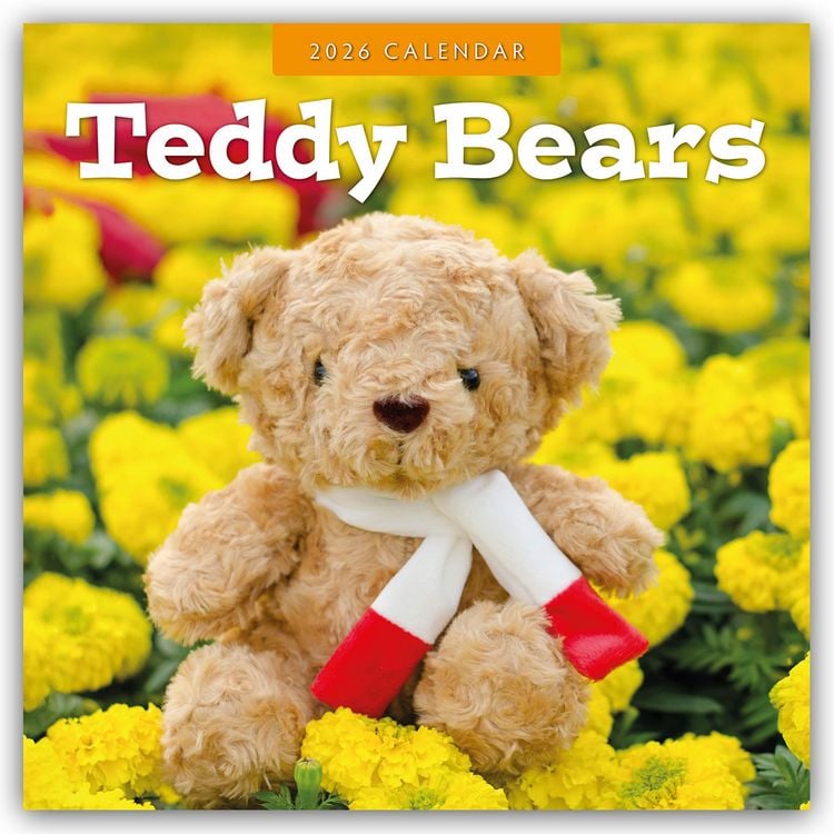 Produktbild: Teddy Bears – Teddybären 2026 – 16-Monatskalender