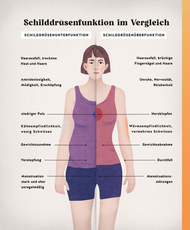 Produktbild: Meine Gesundheitsretter aus der Natur f&uuml;r eine starke Schilddr&uuml;se