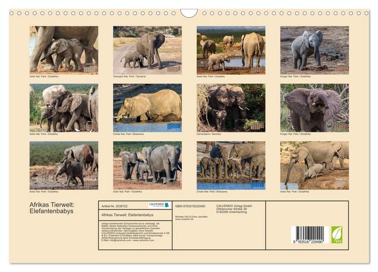 Produktbild: Afrikas Tierwelt: Elefantenbabys (Wandkalender 2026 DIN A3 quer), CALVENDO Monatskalender