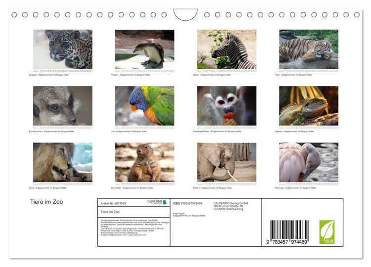 Produktbild: Tiere im Zoo (Wandkalender 2026 DIN A4 quer), CALVENDO Monatskalender