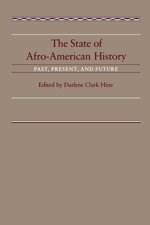 Produktbild: The State of Afro-American History