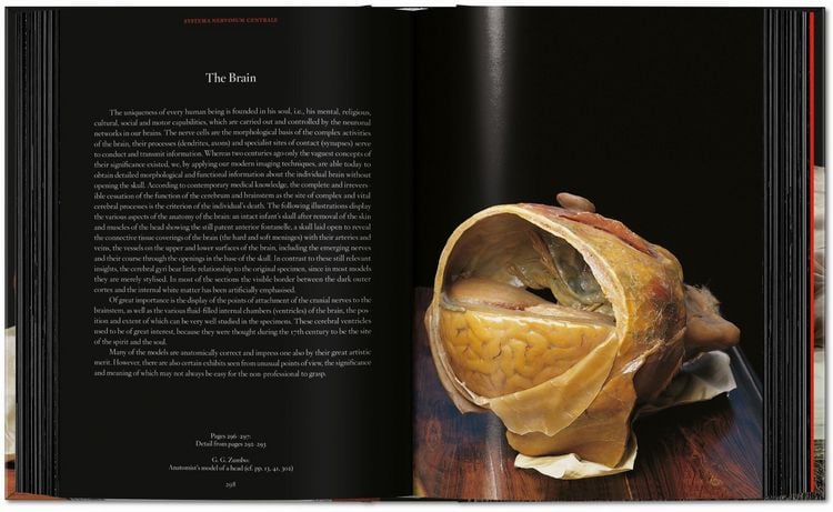Produktbild: Anatomical Waxes. 45th Ed.