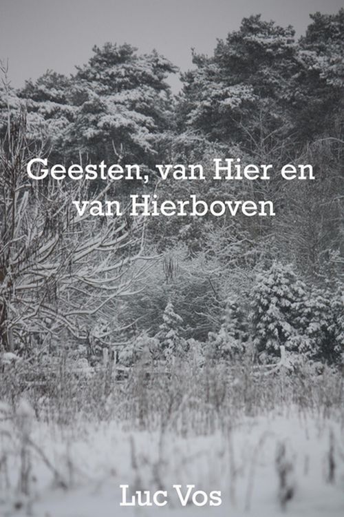 Produktbild: Geesten, van Hier en Van Hierboven
