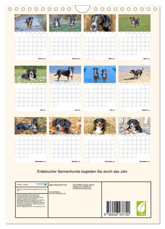 Produktbild: Entlebucher Sennenhunde begleiten Sie durch das Jahr (Wandkalender 2026 DIN A4 hoch), CALVENDO Monatskalender