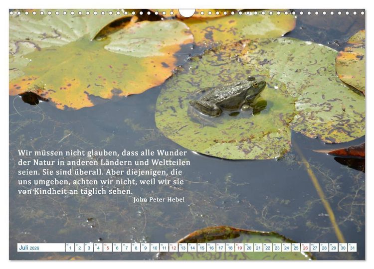 Produktbild: Kraftquelle Natur (Wandkalender 2026 DIN A3 quer), CALVENDO Monatskalender