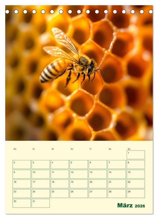 Produktbild: Bienenblick &ndash; Ein Jahr mit den Bienen (Tischkalender 2026 DIN A5 hoch), CALVENDO Monatskalender