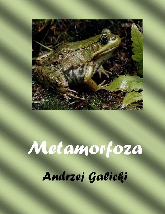 Produktbild: Metamorfoza