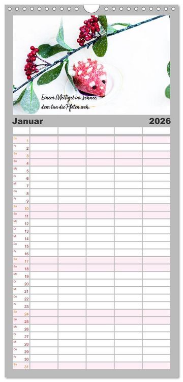 Produktbild: Familienplaner 2026 - Mettkalender - Mettigel Edition mit 5 Spalten (Wandkalender, 21 x 45 cm) CALVENDO