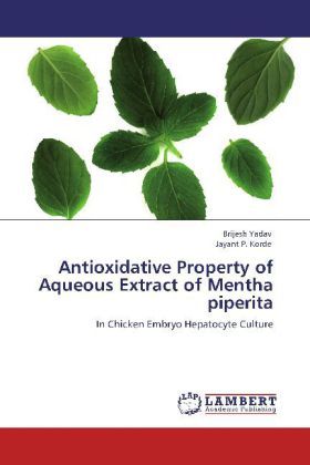 Produktbild: Yadav, B: Antioxidative Property of Aqueous Extract of Menth