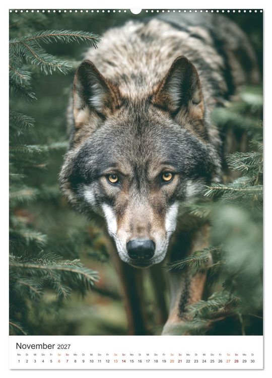 Produktbild: K&ouml;nige der Natur (hochwertiger Premium Wandkalender 2027 DIN A2 hoch), Kunstdruck in Hochglanz