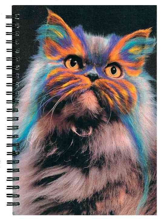 Produktbild: Famous Painted Cats Journal