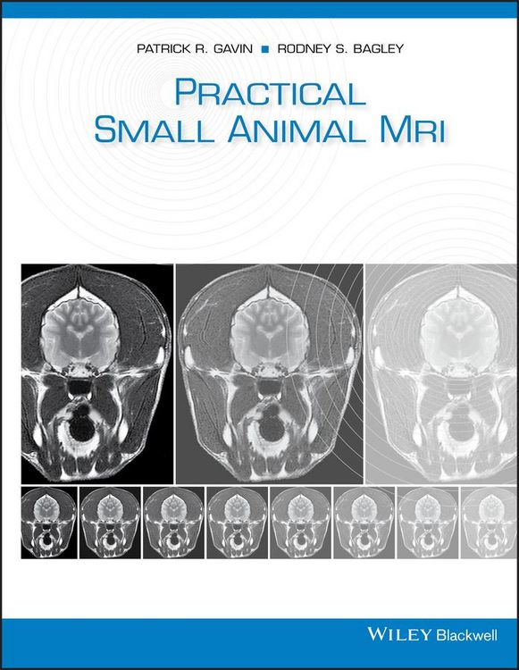 Produktbild: Practical Small Animal MRI