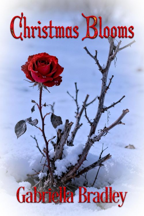 Produktbild: Christmas Blooms
