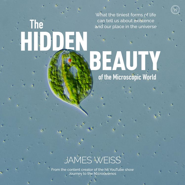 Produktbild: The Hidden Beauty of the Microscopic World