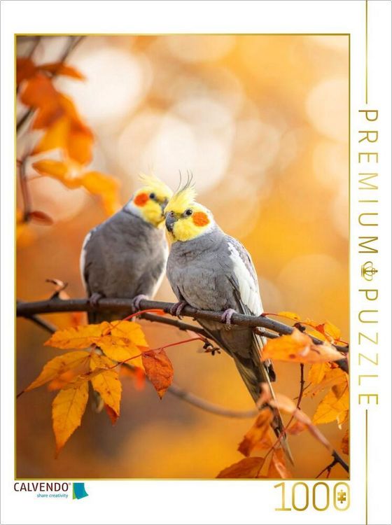 Produktbild: CALVENDO Puzzle Nymphensittiche im Herbstlaub | 1000 Teile Lege-Gr&ouml;&szlig;e 64x48cm Foto-Puzzle f&uuml;r gl&uuml;ckliche Stunden