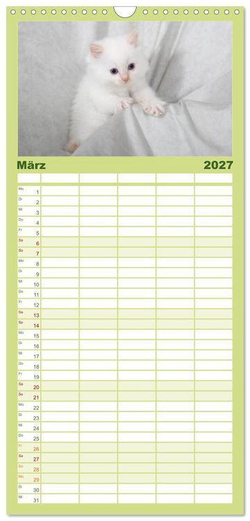 Produktbild: Familienplaner 2027 - Ragdoll Kitten mit 5 Spalten (Wandkalender, 21 x 45 cm) CALVENDO