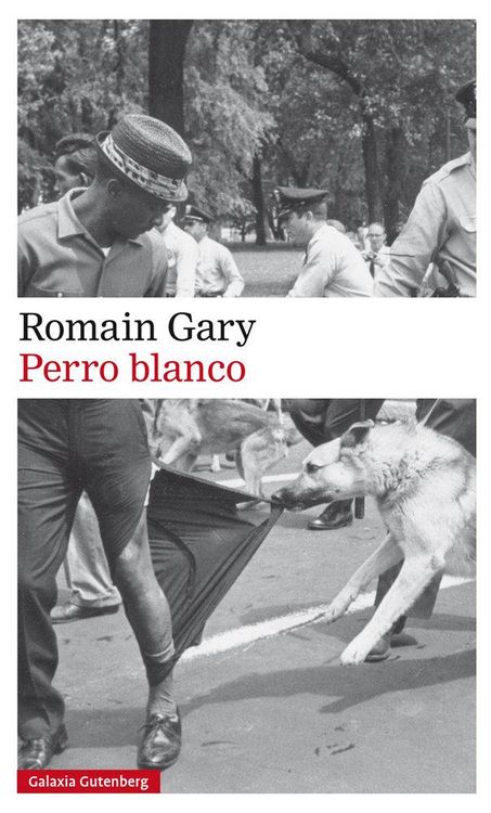 Produktbild: Perro blanco