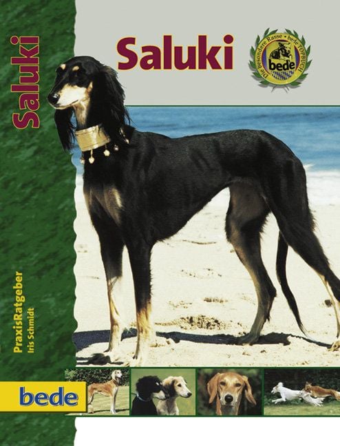 Produktbild: Saluki