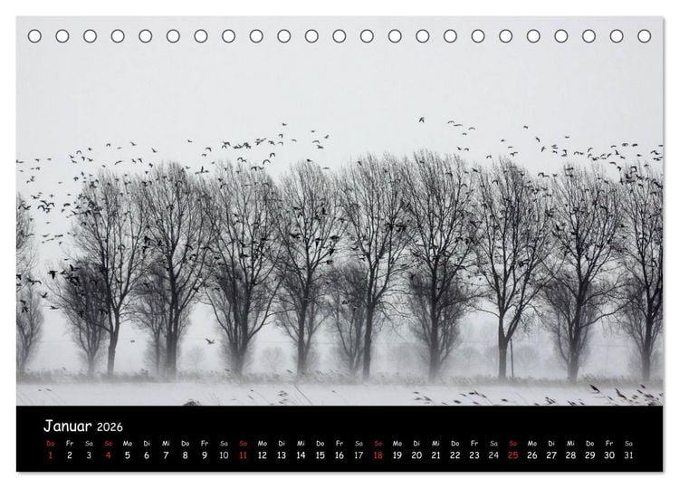 Produktbild: Schrei der Wildg&auml;nse (Tischkalender 2026 DIN A5 quer), CALVENDO Monatskalender