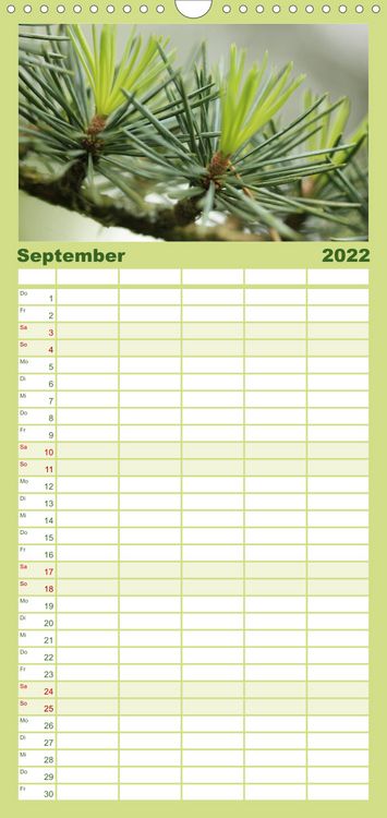 Produktbild: Es gr&uuml;nt! - Familienplaner hoch (Wandkalender 2022 , 21 cm x 45 cm, hoch)