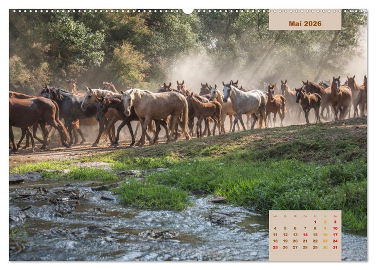 Produktbild: Pferde - Andalusiens wilder Westen (hochwertiger Premium Wandkalender 2026 DIN A2 quer), Kunstdruck in Hochglanz